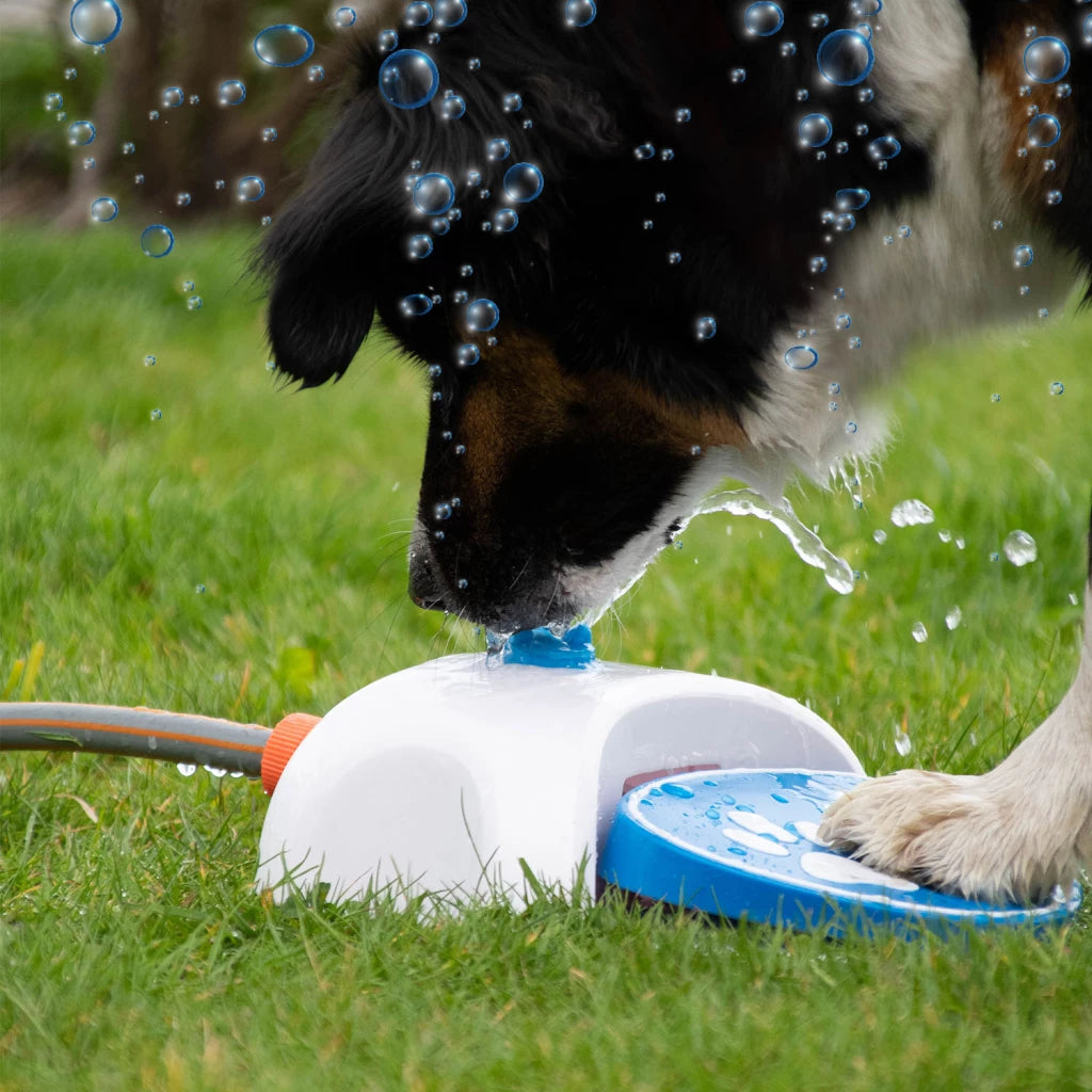 Splash Water Fontein ™